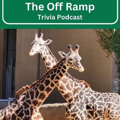 292 Madcap Trivia