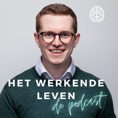 Ep10 Mijn 4 belangrijkste lessen uit het werkende leven