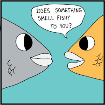 Does this Seem (Not) Fishy to You?