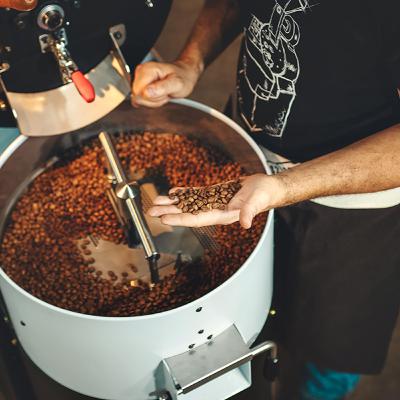 Cacau e café - grandes similaridades