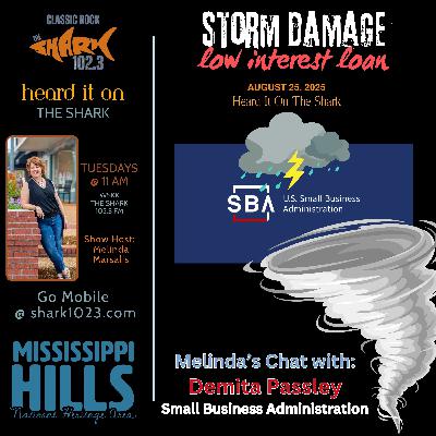 Do You Need a Storm Damage Loan from SBA?? Do You Need a Storm Damage Loan from SBA??