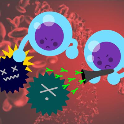 2025.01.31.がんを倒す最強戦士「CAR-T細胞」をもりもり増やす方法とは？