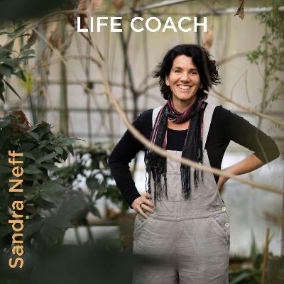 Glaubensmuster & alte Programme