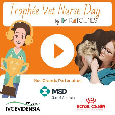 🐈  Mégane améliore l'accueil des chats dans sa clinique 🎉👏👌