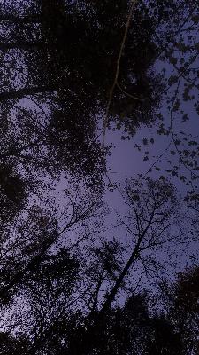 Scattering