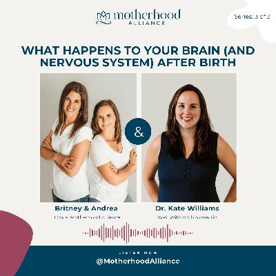 What Happens to Your Brain (and Nervous System) After Birth w/ Dr. Kate Williams | Well Within Chiropractic