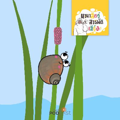 นานาสัตว์สารพัดเสียง EP. 209: หอยเชอรี่ หอยวายร้ายที่กลายเป็นอาหารอร่อย นานาสัตว์สารพัดเสียง EP. 209: หอยเชอรี่ หอยวายร้ายที่กลายเป็นอาหารอร่อย