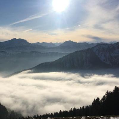 Yoga Nidra Yoga Nidra