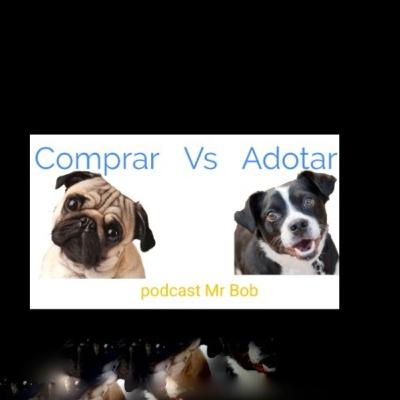 ADOTAR OU COMPRAR CACHORRO