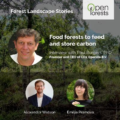 Food forests feed and store carbon