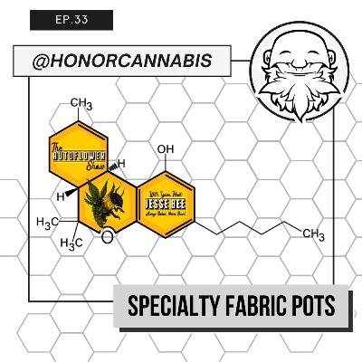 Episode 33: @honorcannabis
