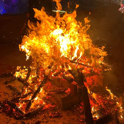 35｜有钱没钱回家过年？这届年轻人不听劝了！