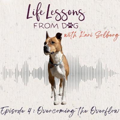 Overcoming the Overflow : Learning to Manage Energy