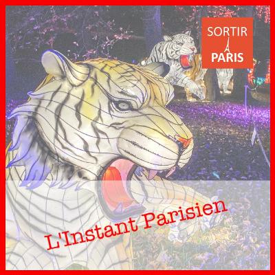 L'Instant Parisien, épisode 13 : L'Odyssée Lumineuse et le marché de Noël de Jenvry en Essonne L'Instant Parisien, épisode 13 : L'Odyssée Lumineuse et le marché de Noël de Jenvry en Essonne