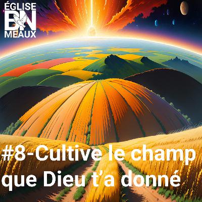 #8-Cultive le champ que Dieu t'a donné