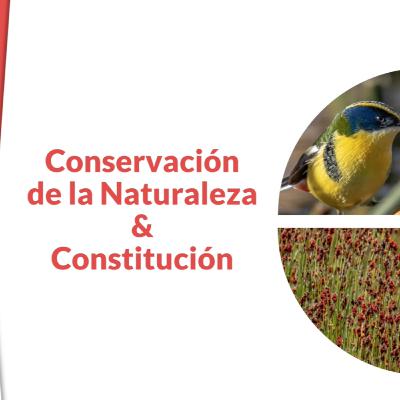 Cap. 3 - Conservación de la Naturaleza & Constitución