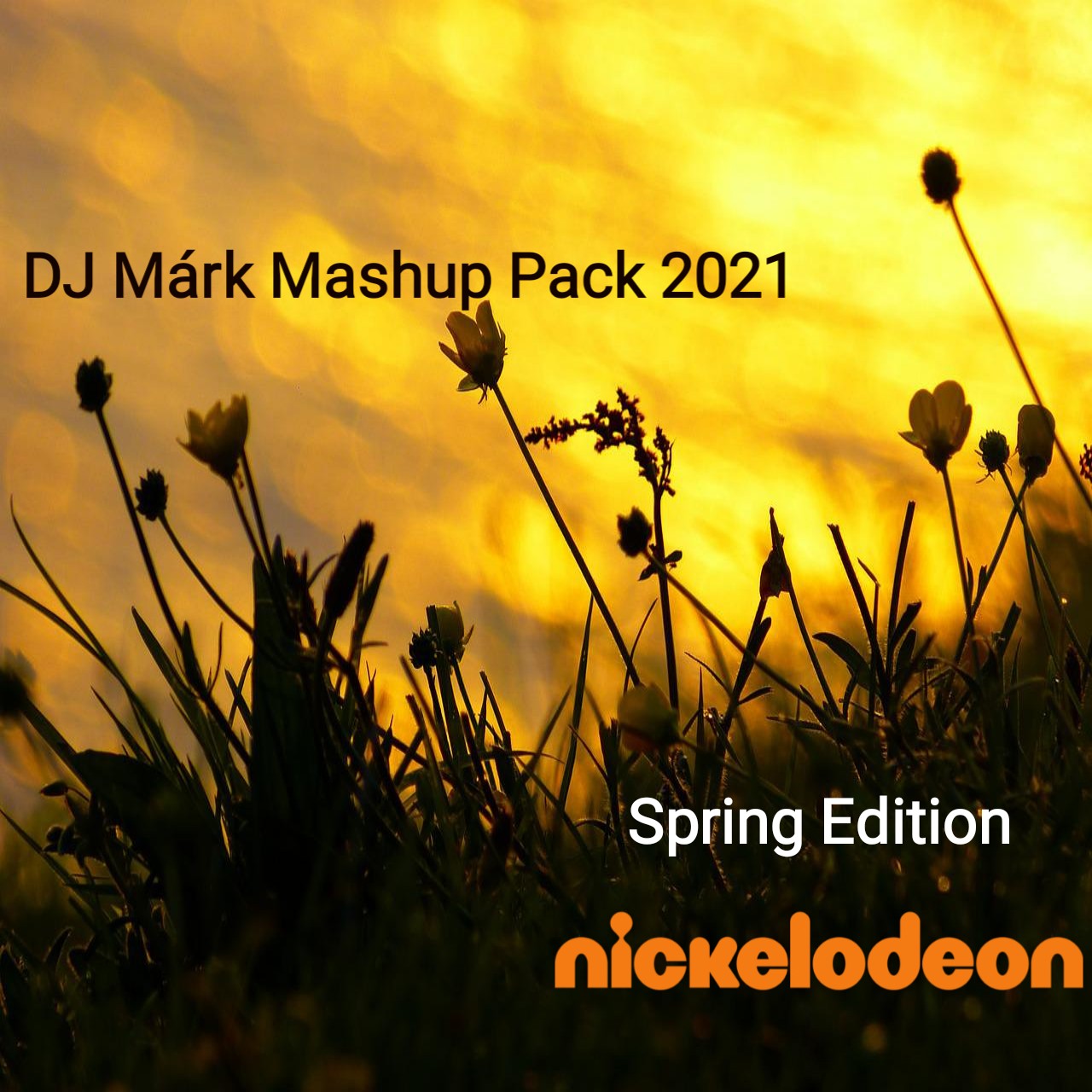 Sick Individuals VS Barbie - Flame VS Rám Ragyog A Fény (DJ Márk Mashup)