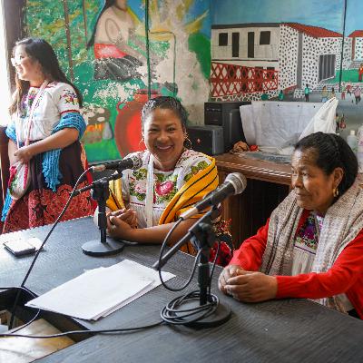 Programa 95. Nuestras radios: historias que cuidan la vida y el territorio