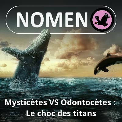 S05E09 Mysticètes versus Odontocètes : Le choc des titans