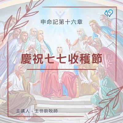 慶祝七七收穫節｜晨禱讀經 Ep.455｜申命記 16:9-12