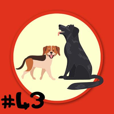 Folge 43 - Bernd Schäferhund und Trixie Dackel - Viel zu spät