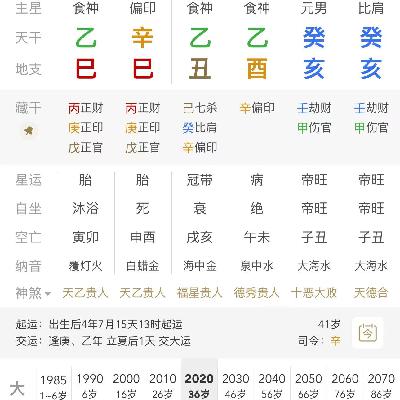 格局不错却负债数百万的癸水男命详解|身旺印重行三十年巳午未财运三十年寅卯辰食伤大运为何会负债的乙丑 乙酉 癸亥 癸亥