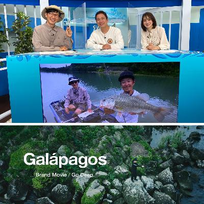釣りビジョン出演のお知らせとGalápagosのブランドムービーが公開された話