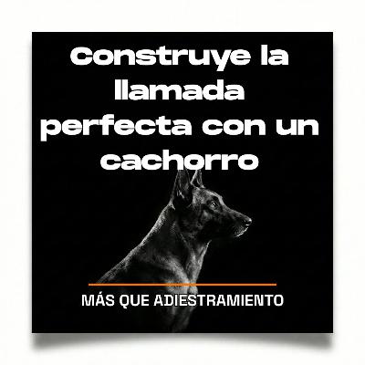 4.13 Construye la llamada perfecta con un cachorro