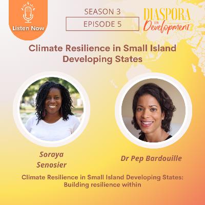 Climate Resilience in Small Island Developing States: Building Resilience Within