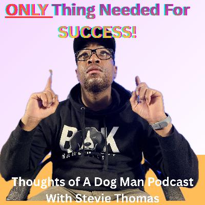 Number 1 Secret Any Handler Needs To Know With Hunting Dogs Number 1 Secret Any Handler Needs To Know With Hunting Dogs