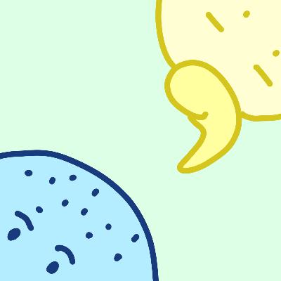 #175【で最近どうけ】この夏、坊主・子の成長