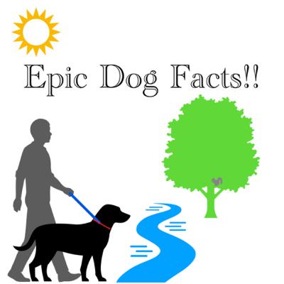 Dog facts!