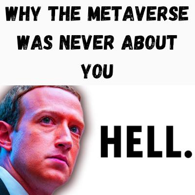 S22 Ep23: Why the Metaverse Was Never About You