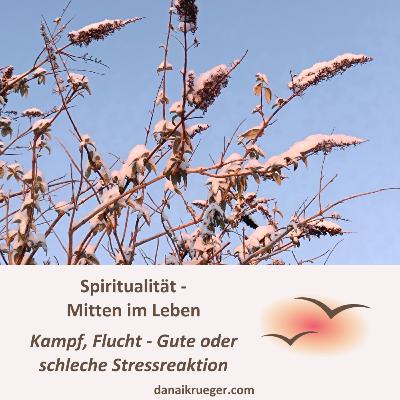#10 Kampf, Flucht - Gute oder schlechte Stressreaktion... #10 Kampf, Flucht - Gute oder schlechte Stressreaktion...