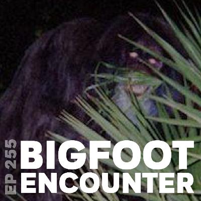255 | Bigfoot Encounter