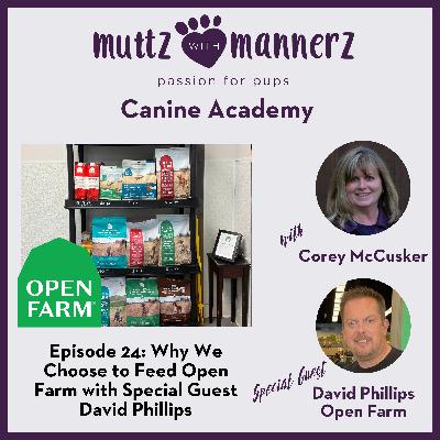 Episode 24: Why We Choose to Feed Open Farm with Special Guest David Phillips