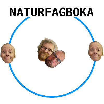 Forskning og naturvitenskap