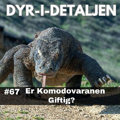 #67 - Komodovaranen - Toprovdyret Selv Forskere ikke Forstår