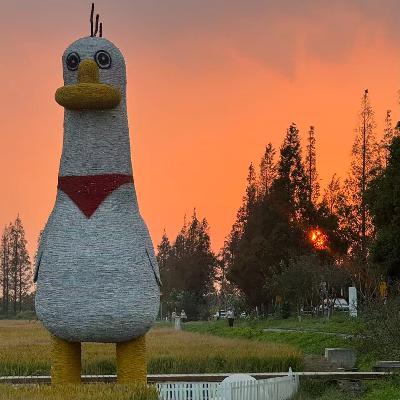 81：对谈00后女孩：做公益、看世界，原来搞砸一次就可以幸福一生