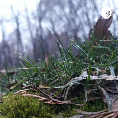 The Dallas Mavericks Stunning #2 Defense is Mostly Real, But Why? The Dallas Mavericks Stunning #2 Defense is Mostly Real, But Why?