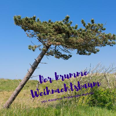 Der krumme Weihnachtsbaum