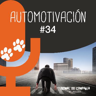 S1 Ep35: # 34 Automotivación