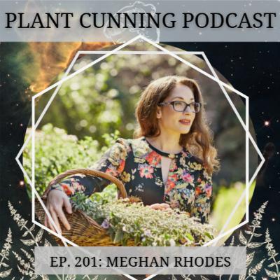 Ep. 201: Ayurvedic Doshas and the Seasons with Meghan Rhodes Ep. 201: Ayurvedic Doshas and the Seasons with Meghan Rhodes