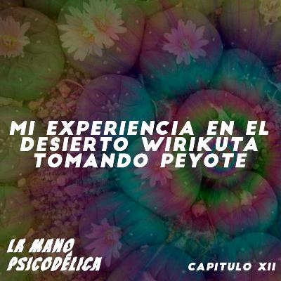 XII. Mi experiencia con el peyote en el desierto Wirikuta: El miedo es amor XII. Mi experiencia con el peyote en el desierto Wirikuta: El miedo es amor