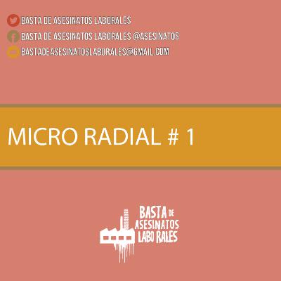 📻 🎙️ MICRO RADIAL BAL #1 / Julio 2020