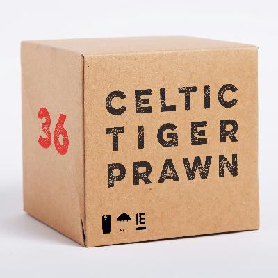 Celtic Tiger Prawn