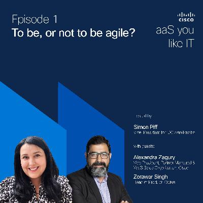 To be, or not to be agile?