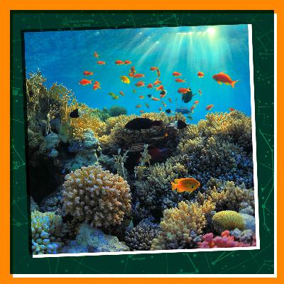 Diving Deep