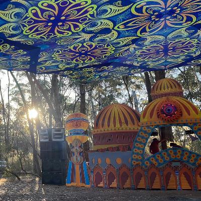 Harry Blotter - Forest Psy DJ Set @ Chakra Gathering Solar Plexus [Nov 2024]