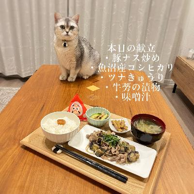 まなみごはん#44「豚ナス炒め」